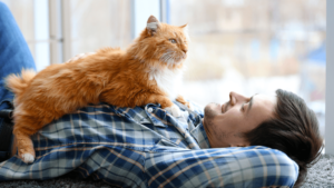man-with-cat-lying-on-chest